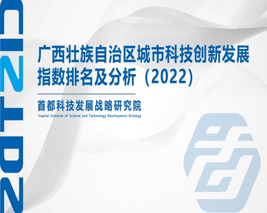 女生被艹【成果发布】广西壮族自治区城市科技创新发展指数排名及分析（2022）